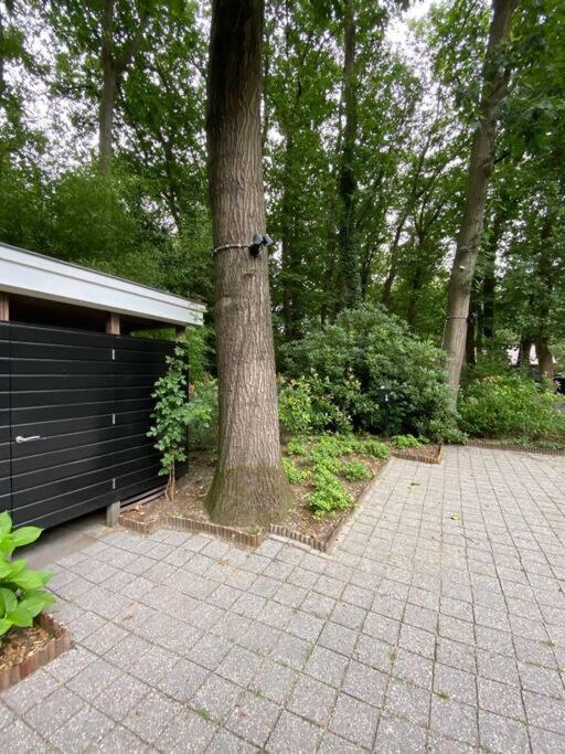 Duinhoek: Luxe Studio, Prachtig En Rustig Gelegen Зейст Экстерьер фото